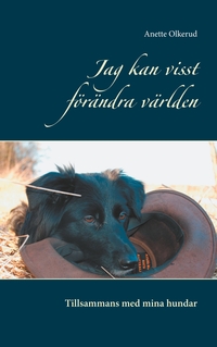 Vorderes Coverbild Jag kan visst förändra världen