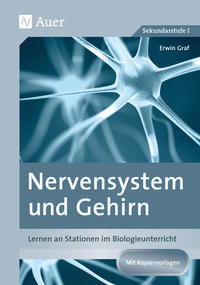Vorderes Coverbild Nervensystem und Gehirn