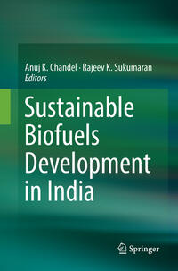 Vorderes Coverbild Sustainable Biofuels Development in India
