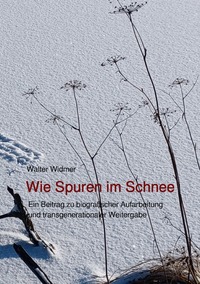Vorderes Coverbild Walter Widmer