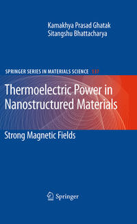 Vorderes Coverbild Thermoelectric Power in Nanostructured Materials