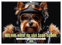 Vorderes Coverbild Der humoristische Yorkshire Terrier Kalender (Wandkalender 2025 DIN A2 quer), CALVENDO Monatskalender