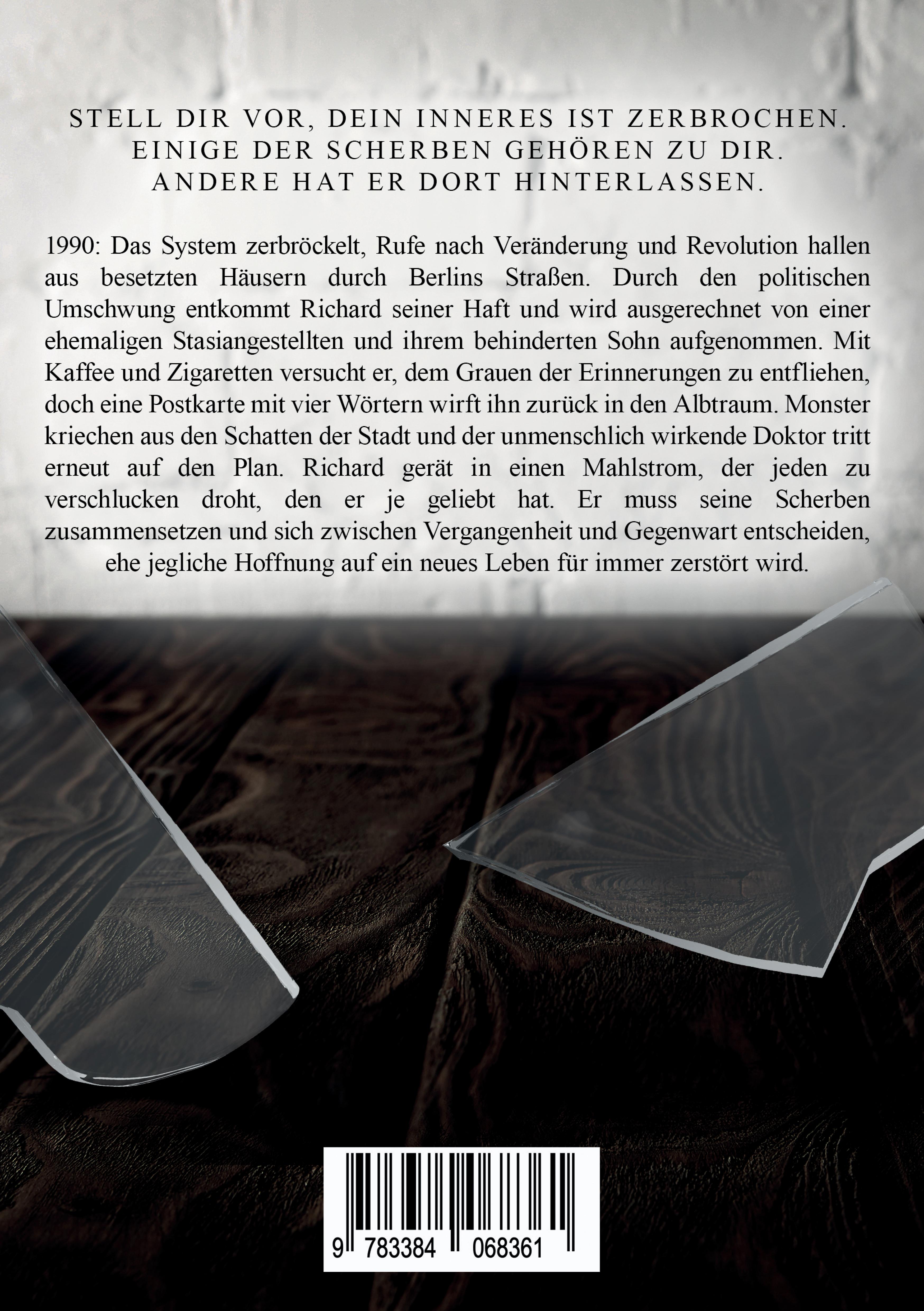 Rückseitencover Fremde Scherben