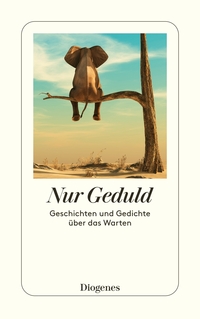 Vorderes Coverbild Nur Geduld