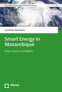 Vorderes Coverbild Smart Energy in Mozambique