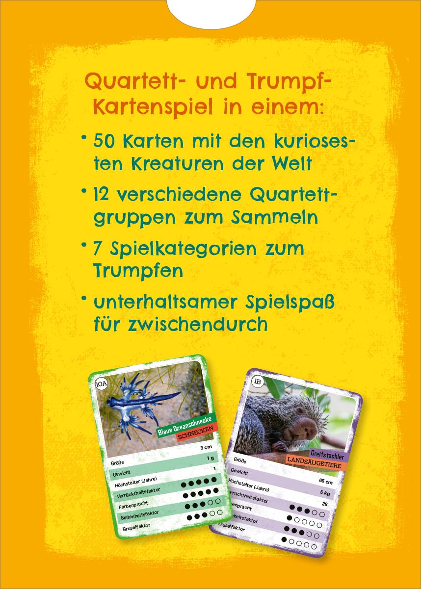 Rückseitencover Das verrückte Quartett