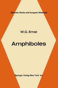 Vorderes Coverbild Amphiboles