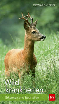 Vorderes Coverbild Wildkrankheiten
