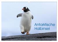 Vorderes Coverbild Antarktische Halbinsel (Wandkalender 2025 DIN A3 quer), CALVENDO Monatskalender