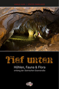 Vorderes Coverbild Tief unten