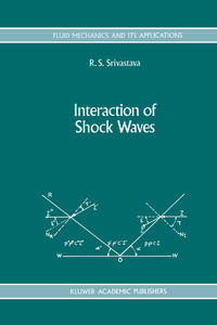 Vorderes Coverbild Interaction of Shock Waves