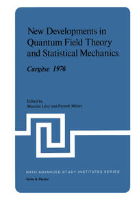 Vorderes Coverbild New Developments in Quantum Field Theory and Statistical Mechanics Cargèse 1976