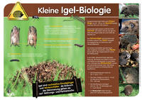 Vorderes Coverbild Rund um Igel, Igelschutz und Igelhilfe