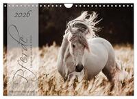 Vorderes Coverbild Pferde - Spiegel deiner Seele (Wandkalender 2026 DIN A4 quer), CALVENDO Monatskalender