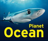 Vorderes Coverbild Planet Ocean