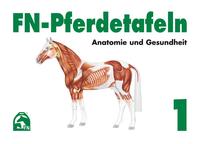 Vorderes Coverbild FN-Pferdetafeln Set / FN-Pferdetafeln Set 1