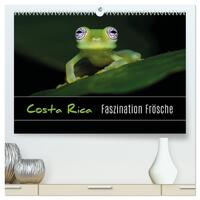 Vorderes Coverbild Costa Rica - Faszination Frösche (hochwertiger Premium Wandkalender 2025 DIN A2 quer), Kunstdruck in Hochglanz