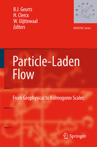 Vorderes Coverbild Particle-Laden Flow