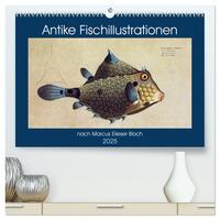 Vorderes Coverbild Antike Fischillustrationen nach Marcus Elieser Bloch (hochwertiger Premium Wandkalender 2025 DIN A2 quer), Kunstdruck in Hochglanz
