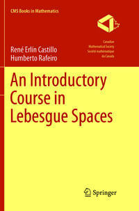 Vorderes Coverbild An Introductory Course in Lebesgue Spaces