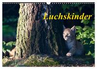 Vorderes Coverbild Luchskinder (Wandkalender 2025 DIN A3 quer), CALVENDO Monatskalender