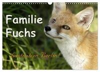 Vorderes Coverbild Familie Fuchs hautnah in Berlin (Wandkalender 2026 DIN A3 quer), CALVENDO Monatskalender