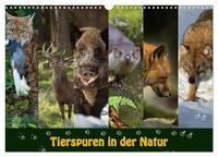 Vorderes Coverbild Tierspuren in der Natur (Wandkalender 2026 DIN A3 quer), CALVENDO Monatskalender