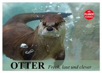 Vorderes Coverbild Otter. Frech, laut und clever (Wandkalender 2025 DIN A2 quer), CALVENDO Monatskalender