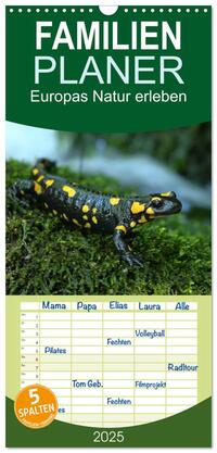 Vorderes Coverbild Familienplaner 2025 - Europas Natur erleben mit 5 Spalten (Wandkalender, 21 x 45 cm) CALVENDO