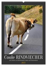 Vorderes Coverbild Coole Rindviecher (Wandkalender 2025 DIN A2 hoch), CALVENDO Monatskalender