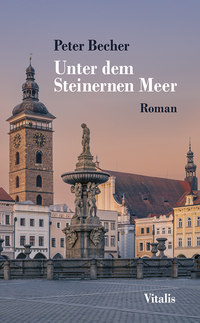 Vorderes Coverbild Unter dem Steinernen Meer