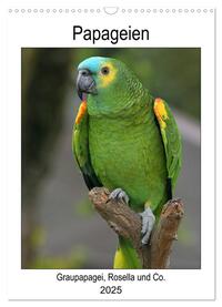 Vorderes Coverbild Papageien - Graupapagei, Rosella und Co. (Wandkalender 2025 DIN A3 hoch), CALVENDO Monatskalender