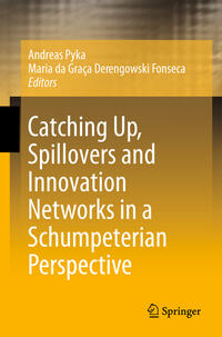 Vorderes Coverbild Catching Up, Spillovers and Innovation Networks in a Schumpeterian Perspective