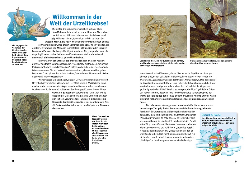 Beispielinhalt (Bild) Entdecke die Urzeitkrebse