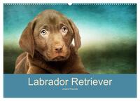 Vorderes Coverbild Labrador Retriever unsere Freunde (Wandkalender 2025 DIN A2 quer), CALVENDO Monatskalender