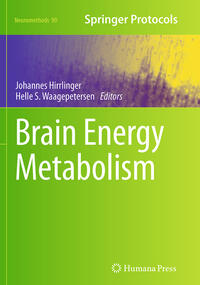 Vorderes Coverbild Brain Energy Metabolism