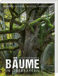 Vorderes Coverbild Faszinierende Bäume in Oberbayern