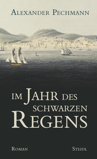 Vorderes Coverbild Im Jahr des schwarzen Regens