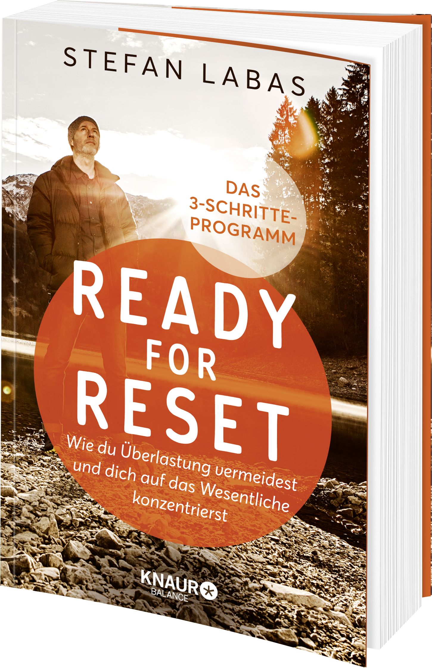 Anderes Coverbild Ready for Reset