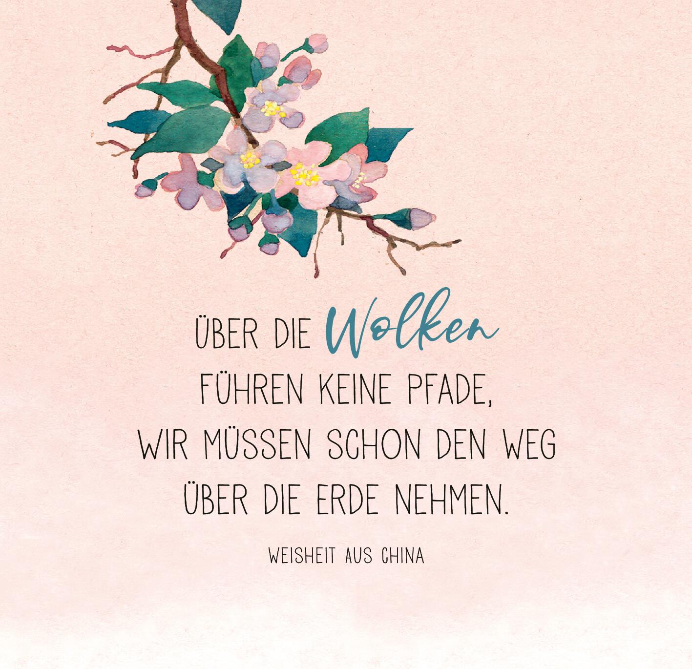 Beispielinhalt (Bild) Seelentrost