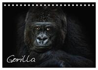 Vorderes Coverbild Gorilla (Tischkalender 2025 DIN A5 quer), CALVENDO Monatskalender