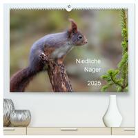 Vorderes Coverbild Niedliche Nager (hochwertiger Premium Wandkalender 2025 DIN A2 quer), Kunstdruck in Hochglanz