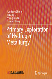 Vorderes Coverbild Primary Exploration of Hydrogen Metallurgy