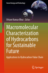 Vorderes Coverbild Macromolecular Characterization of Hydrocarbons for Sustainable Future