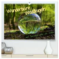 Vorderes Coverbild Wunderbare Waldkugeln (hochwertiger Premium Wandkalender 2025 DIN A2 quer), Kunstdruck in Hochglanz