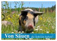 Vorderes Coverbild Von Säuen die Schwein haben! (Tischkalender 2025 DIN A5 quer), CALVENDO Monatskalender
