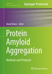 Vorderes Coverbild Protein Amyloid Aggregation