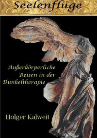Vorderes Coverbild Seelenflüge
