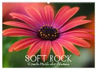 Vorderes Coverbild Soft Rock - Visuelle Musik der Blumen (Wandkalender 2025 DIN A2 quer), CALVENDO Monatskalender