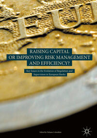 Vorderes Coverbild Raising Capital or Improving Risk Management and Efficiency?